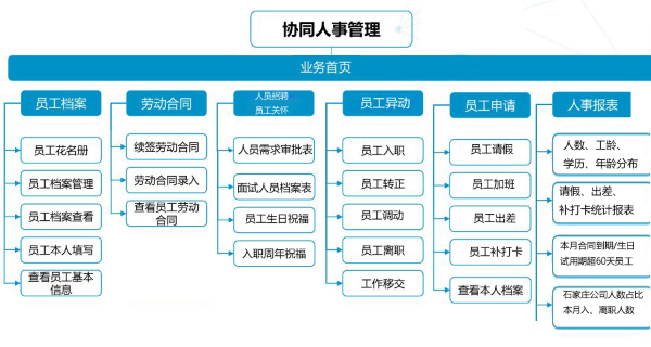 河北 紫岩 协同 人力管理 DDpay钱包官网