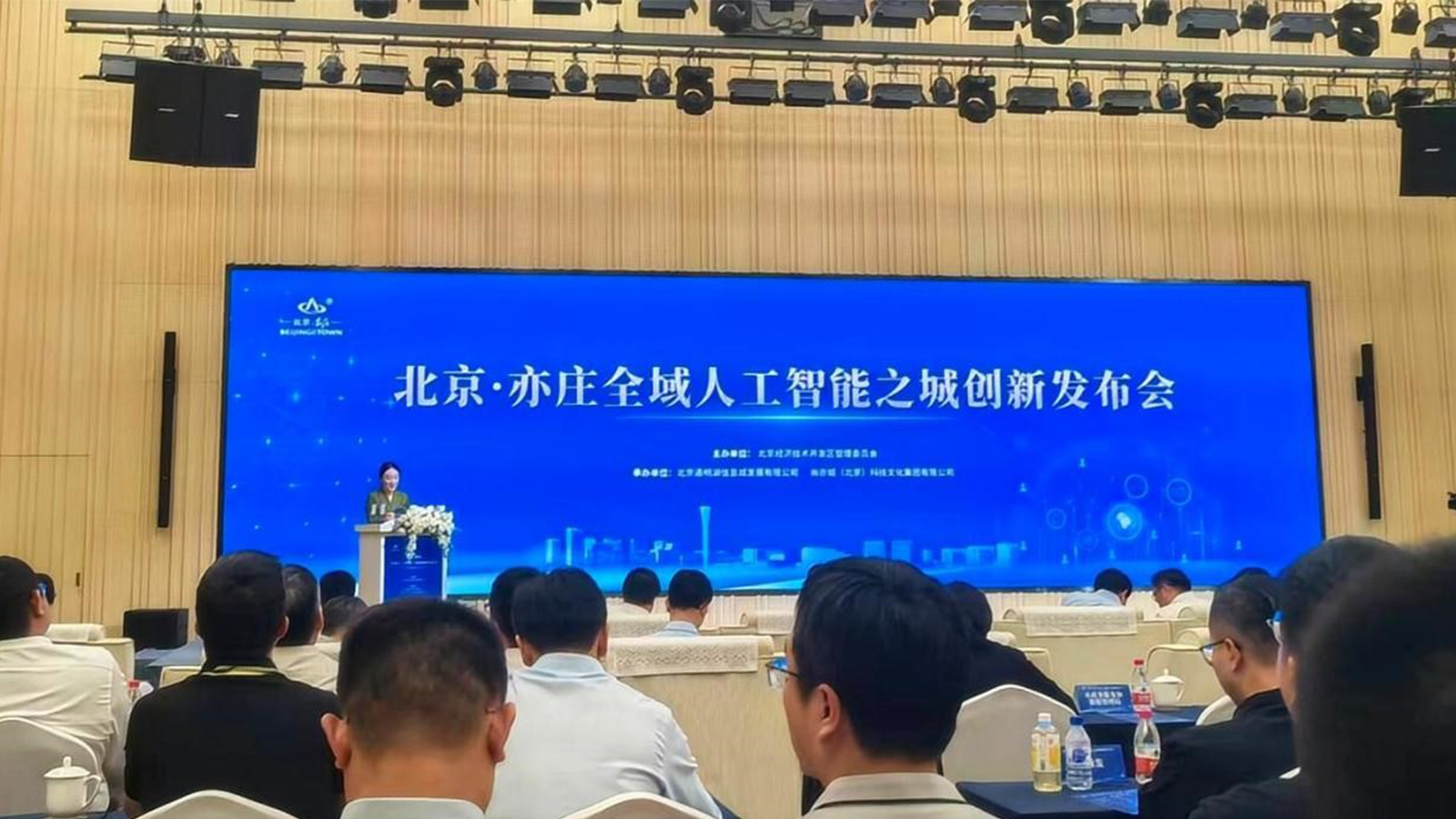 DDpay钱包官网，政务领域大模型